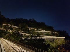 -福道