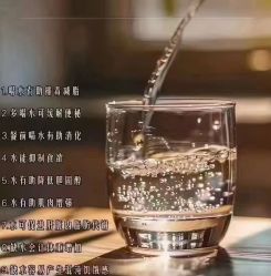 -香薇妮丝·定制减肥·身材管理
