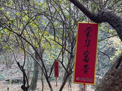 -穹窿山景区