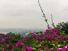 -火炉山森林公园