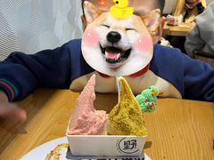 -野人牧坊Gelato(苏州中心店)