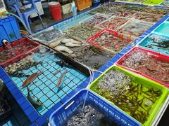 -霞涌市场海鲜摆卖区