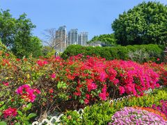 -屯门公园