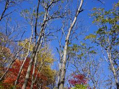 景点-玉渡山自然风景区