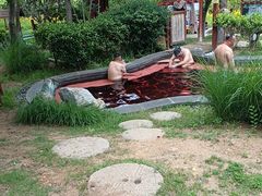 -东海森林温泉