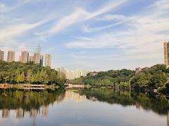 -重庆彩云湖湿地公园