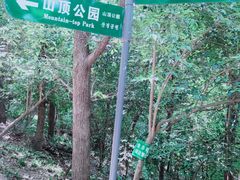 -紫金山山顶公园