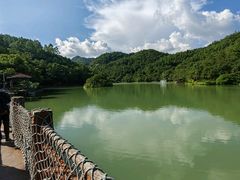 -广州白江湖森林公园