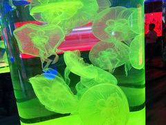 -长春中泰海洋世界