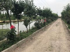 -同銮特种养殖场·龙虾垂钓