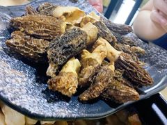 -蘑统田下·野生菌火锅