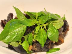 荆芥木耳拌干葱头-湖里春风·淮扬菜(丽泽天街店)
