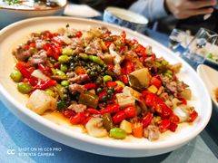 尖椒鸡-南堂館川菜文化餐厅(天府店)