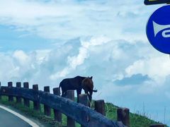 -新疆那拉提国家旅游度假区