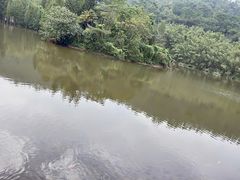 -滴水岩森林公园