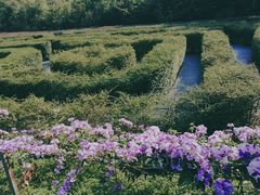 -大屏嶂森林公园