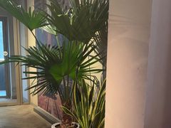 -Wagas沃歌斯(北京君太百货店)