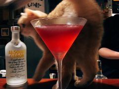 -咖法森林·咖啡  酒吧(天河店)