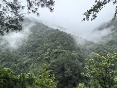 -大奇山国家森林公园