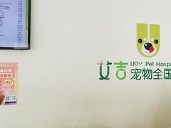-艾吉宠物医院·疑难杂症转诊中心·猫友好(碧江路院)