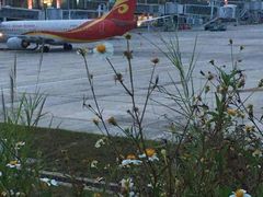 -海南海航航空信息系统公司