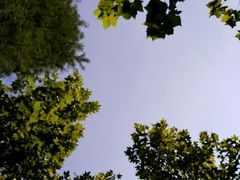 -暨阳湖生态园