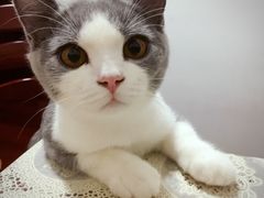 -纳吉亚猫专科动物医院博雅分院
