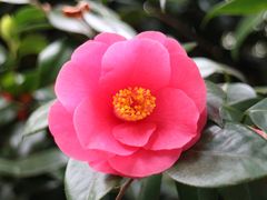 -上海市龙华烈士陵园