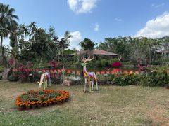-海南热带野生动植物园