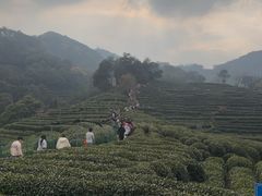 -十里琅珰