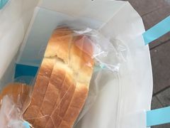 -蒲公英(五里店)
