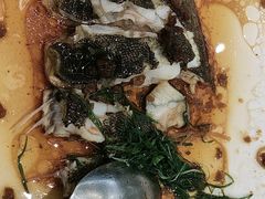 -新兴家喻酒家·羊城名宴(昌岗店)