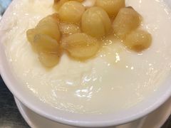 莲子双皮奶-义顺牛奶公司(庇利金街店)