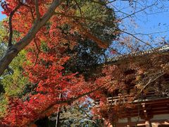 -醍醐寺