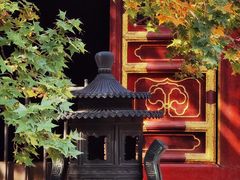 -香山公园