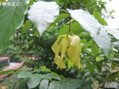 -广州神农草堂中医药博物馆
