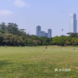 风筝篇 疫情过后回到深圳 第一逛的地方就来到了莲花山