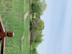 -梁鸿国家湿地公园