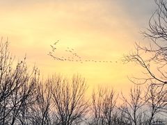 -野鸭湖国家湿地公园