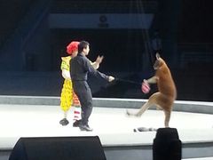 android_upload_pic-灵玲国际马戏城