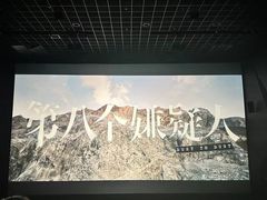 -万达影城(汉街万达广场IMAX店)