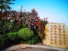 -棒棰岛宾馆景区