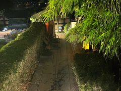 -崇阳三特浪口温泉