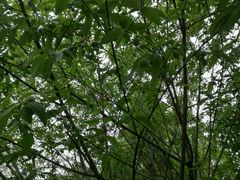-深业半汤御泉庄温泉
