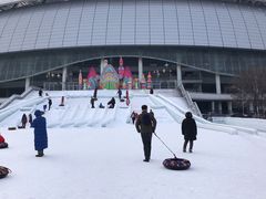 -沈阳奥体冰雪嘉年华