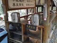 -天门沟九州驿站树上汤泉