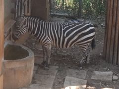 -昆明动物园