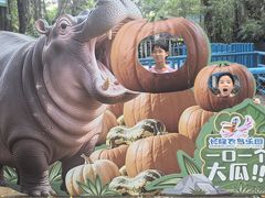 -广州长隆飞鸟乐园