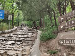 -阳台山自然风景区