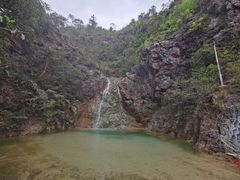 -南海湾森林生态园
